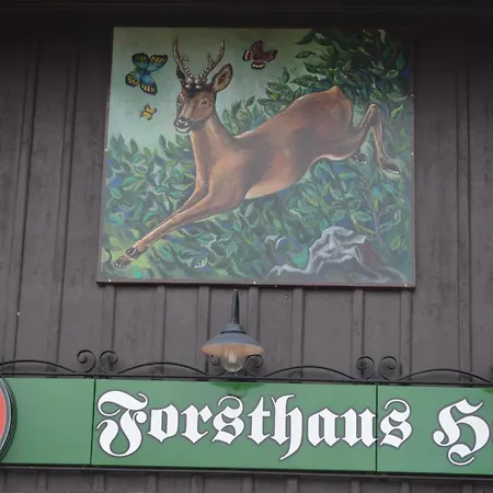 Guest house Restaurant & Forsthaus Hain
